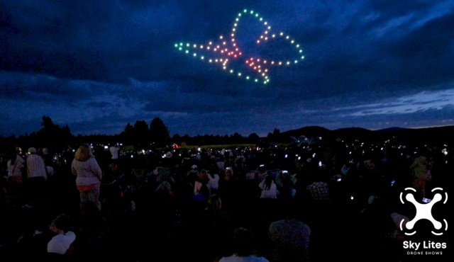 Various theme shows with 75 drones